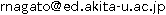 E-mail address